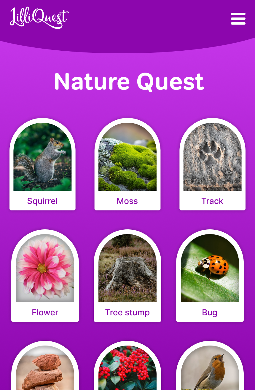 Screenshot of Nature Quest, including squirrel, moss, track, flower, tree stump, bug and more