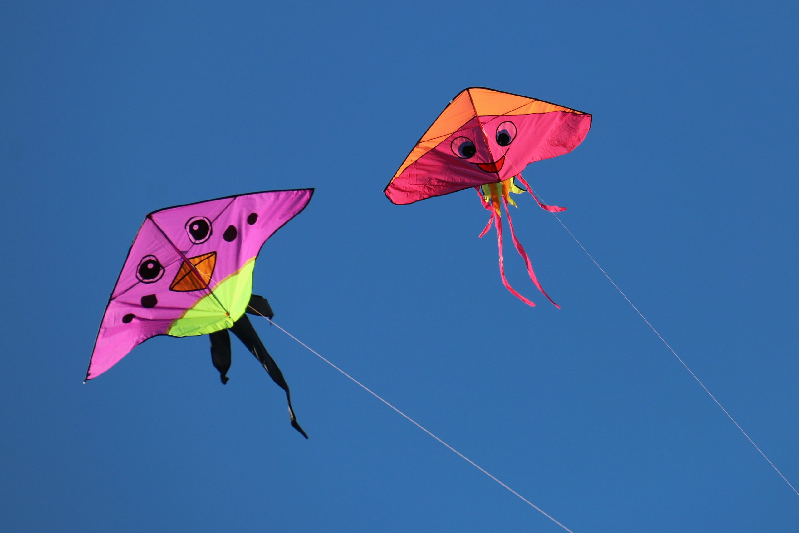 Kites Two colorful kites flying in a blue sky