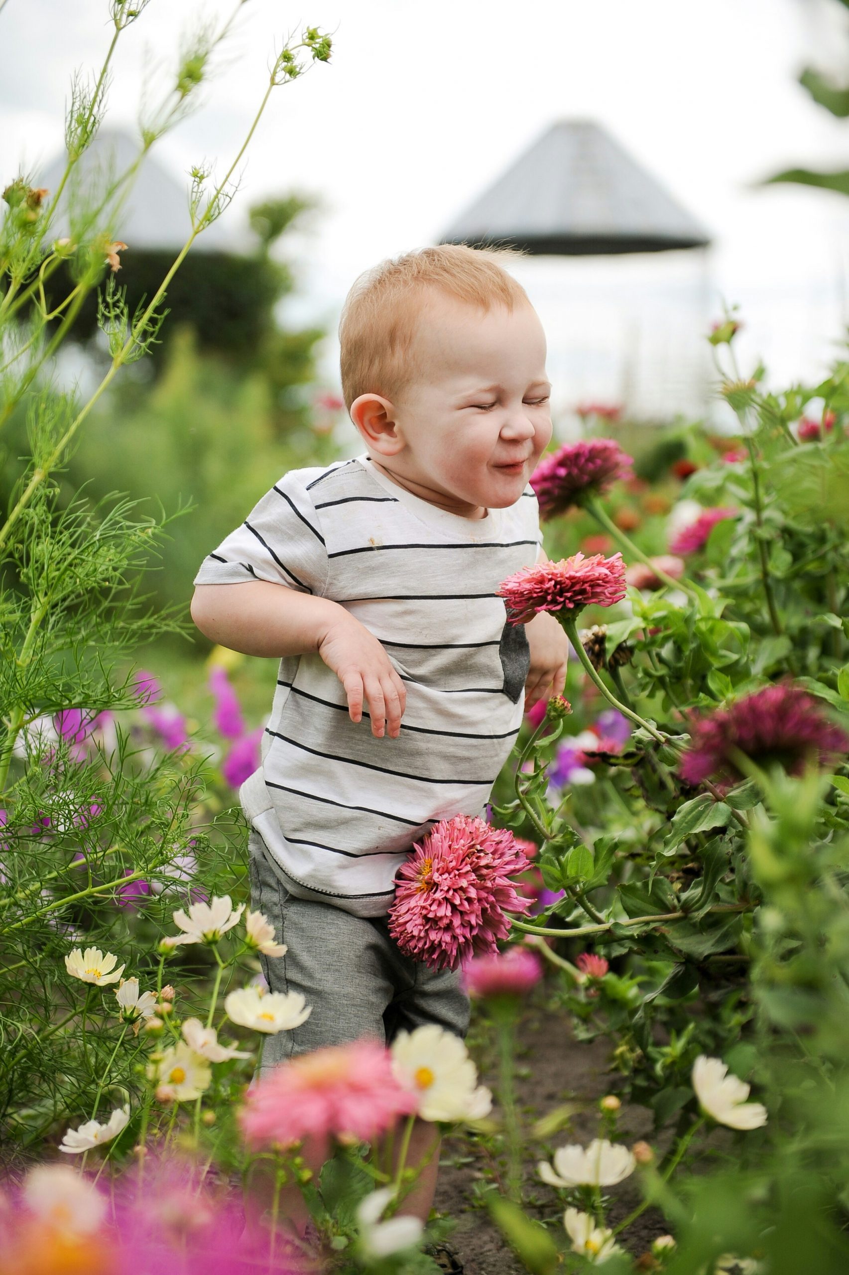holly-landkammer-TRu30ipYqOA-unsplash Toddler smelling flowers in a garden with a big smile