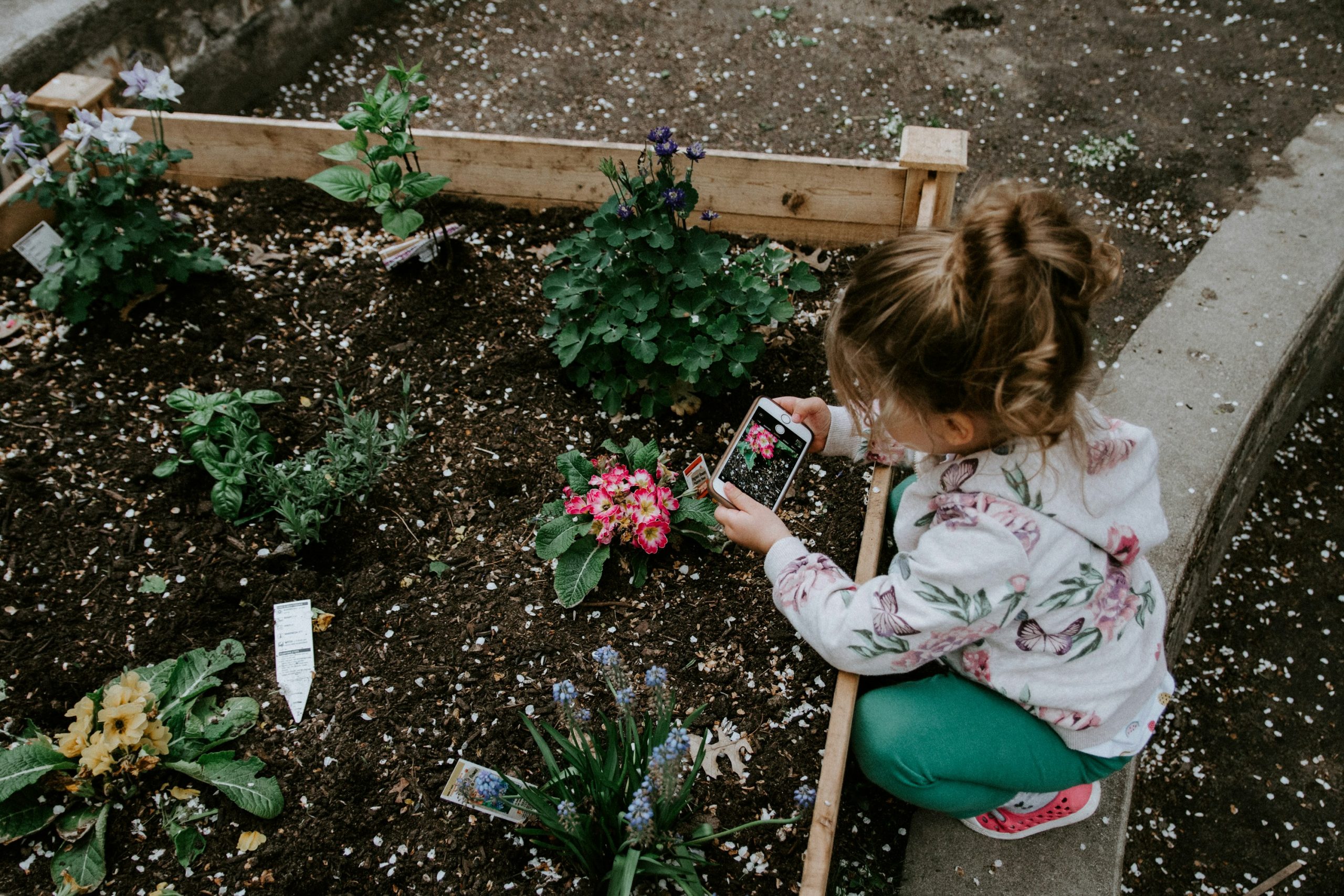 kelly-sikkema-iu3MkDoQXDM-unsplash Little girl tending to a small garden