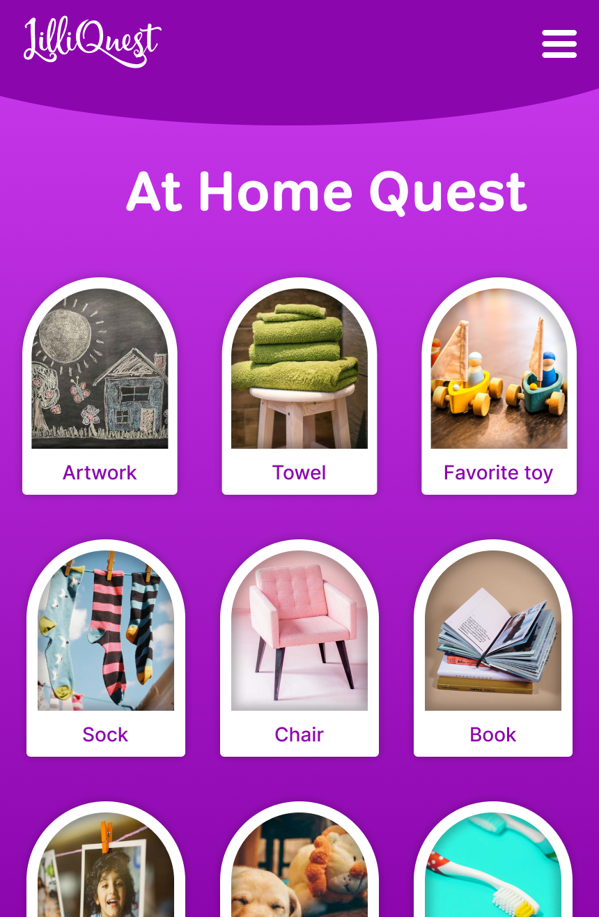 Screenshot of At Home Quest which includes items like towels, artwork, favorite toy, sock, chair, book and more