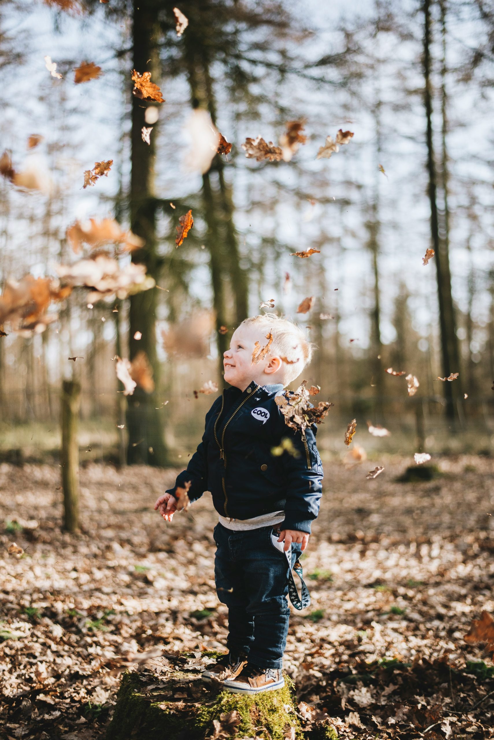Little boy standing in wonder among trees with orange leaves falling around